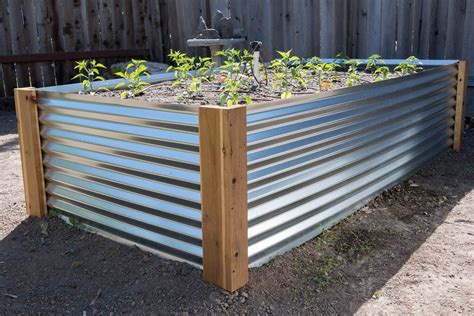 is rust from corrigated metal garden boxes bad for gardens|are metal garden beds dangerous.